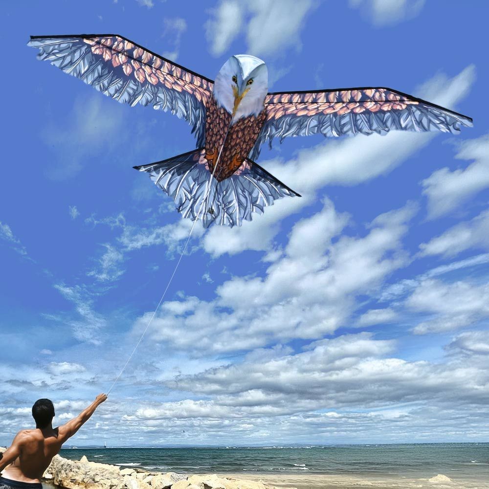 3D flying kite eagle για παιδιά flying eagle